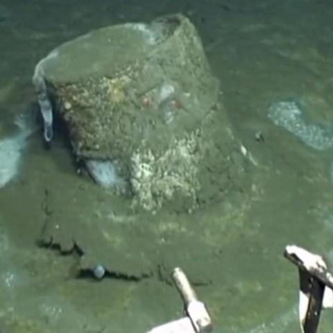 DDT barrel laying on the ocean floor