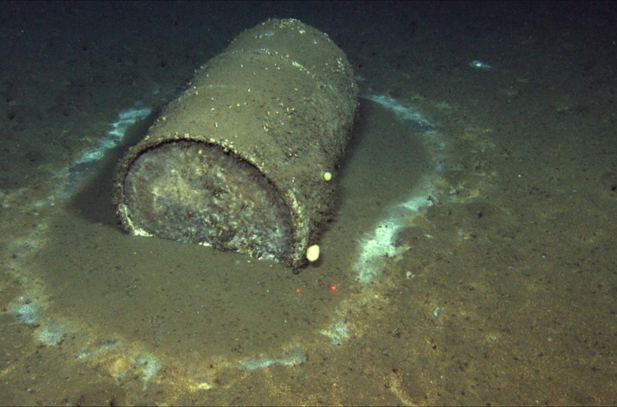 A barrel full of DDT-laced industrial waste lies on the sea floor